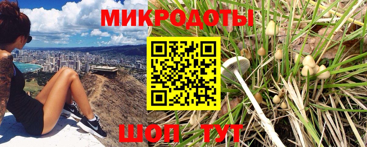 Псилоцибиновые грибы Psilocybe Зеленокумск